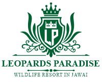 Leopards Paradies Jawai
